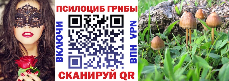 Галлюциногенные грибы мухоморы  Купить закладки  Котельнич 